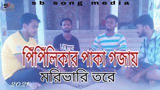 পিঁপিঁলিকার পাকা গজায় মরিভারি তরে। pipilikar pakha gojay moribari tore 2021 [upl. by Loutitia989]