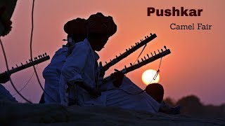 Pushkar Fair Tour package ll Pushkar Fair ll Camel Fair India [upl. by Llehcam]