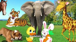 Ecosytem for Kids  Preschool  Kindergarten  Grade 1 Grade 2 Grade 3 Grade 4 Grade 5 Class 8 [upl. by Sajovich852]