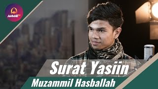 Muzammil Hasballah  Surat Yasiin [upl. by Ylirama]