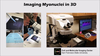 Confocal Microscopy Explained [upl. by Renaldo]