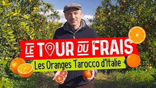 Grand Frais I Le Tour du Frais avec Giuseppe producteur d’oranges Tarocco [upl. by Nylsirk659]