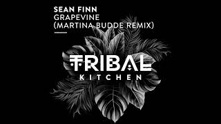 Sean Finn  Grapevine Martina Budde Extended Remix [upl. by Cupo708]