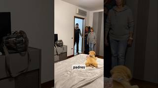 Este cachorro sabía quién era su nuevo dueño 🥺 [upl. by Basia]