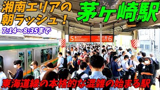 【茅ヶ崎駅】湘南エリアの朝ラッシュ！通勤時は激しい混雑！JR東海道線、相模線【神奈川県茅ヶ崎市】辻堂＆藤沢駅も少しあり。 [upl. by Nitsyrk]