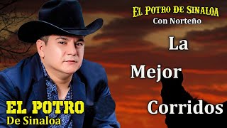 El Potro de Sinaloa Con Norteño  La Mejor Corridos  Para Pistear 2024  Corridos Viejitos [upl. by Ysdnil]