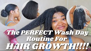 The PERFECT Wash Day Routine for HAIR GROWTH  SUPER DETAILED [upl. by Decrem]