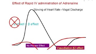 VASOMOTOR REVERSAL OF DALE Easy and Precise Explanation 👍 [upl. by Crosse]