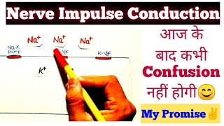 quotNerve Impulse Conductionquot हमेशा के लिए CONFUSION दूर🔥 Easiest Explaination😎 Neet Confusion Series [upl. by Romilda498]