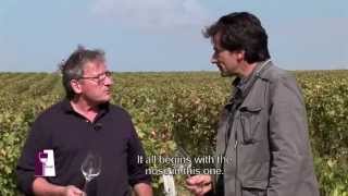 Understanding Loire Valley Sancerre with Alphonse Mellot [upl. by Nessy]