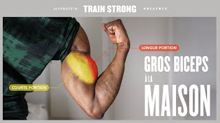 Exercices BICEPS avec haltères pour de  gros bras à la maison [upl. by Adnirod275]