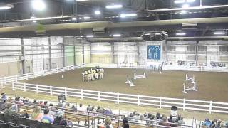 Haflinger Jumping Drill Team Equine Affaire 2014 [upl. by Varin688]