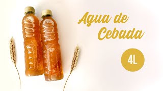 Agua  Refresco de cebada con linaza para negocio  Recetas Copy [upl. by Circosta]