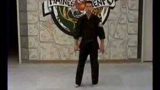 01 Five Animal Kenpo Beginning Basics [upl. by Zwart]