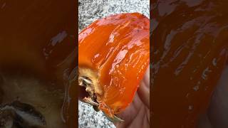 Persimmon Taste Test Winner [upl. by Eniamrehc]