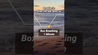 Box Breathing for Stress Relief [upl. by Lynnette]