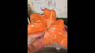 Preserving FlowersParaffin Wax Experiment [upl. by Atenik]