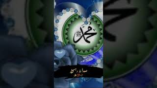 Kalam mian muhammad bakhshshortvideo [upl. by Herby508]