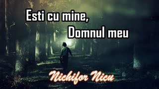 Nichifor Nicu  Ești cu mine Domnul meu [upl. by Eneleuqcaj]