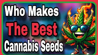 Quest For The Best Cannabis Strain Fanatic Solfire Gardens [upl. by Niwled554]