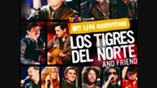 tigres del norte ft paulina rubio golpes en el corazon [upl. by Marthe76]