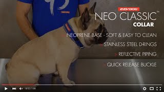 How to fit your Dogs Collar  EzyDog Neo Classic Dog Collar [upl. by John]