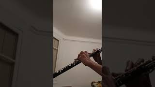 Jotaros theme stardust Crusaders that also sounds good on oboe [upl. by Farmer]