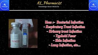 Pancef Injuses sideeffects a1pharmacist injection antibioticceftriaxone youtube knowledge [upl. by Jenette]