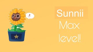 Plant nanny 2  Sunnii max level [upl. by Inneg19]