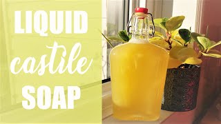 Liquid CASTILE Soap  100 OLIVE OIL  Cold Process [upl. by Casaleggio348]