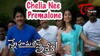 Snehamante Idera Songs  Chelia Nee Premalone  Nagarjuna  Bhoomika [upl. by Yenruogis741]