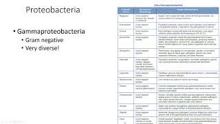 Chapter 4 Openstax Microbiology [upl. by Welford]