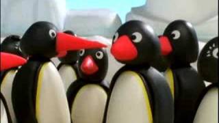 Pingu amp Friends IT [upl. by Adiarf]