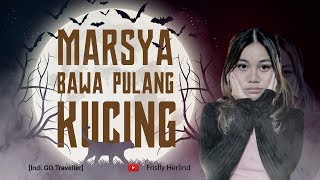 Cerita Marsya Bawa Pulang Kucing IndiGOTraveller [upl. by Javed942]