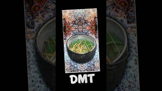 DMT — Everything You Need To Know [upl. by Suoirtemed529]