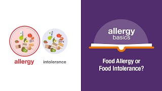 Food Allergy or Food Intolerance  Allergy Insider [upl. by Noxaj]