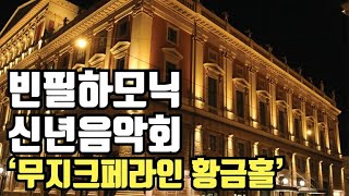 클래식 역사의 현장을 찾아서 8편  빈필하모닉 신년음악회 뮤직페라인 황금홀 [upl. by Hna]