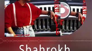 Shahrokh  Shahre Zolmat Official Lyric Video [upl. by Haimarej]