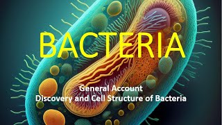 Bacteria Microbiology CellBiology ScienceEducation DiscoveryOfBacteria Prokaryotes [upl. by Leiru]