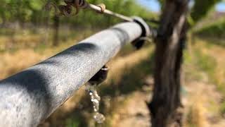 Whats the Power of Drip Irrigation [upl. by Harvie]