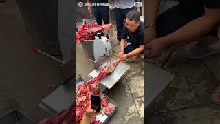 Chef chopping beef ribs using a modern machine shortvideo shorts [upl. by Lorelle]