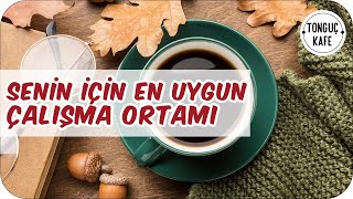 Ders Çalışırken Odaklanmanı ve Konsantrasyonunu Artıracak Müzikler  2 Pomodoro  Tonguç Kafe [upl. by Aisyat13]