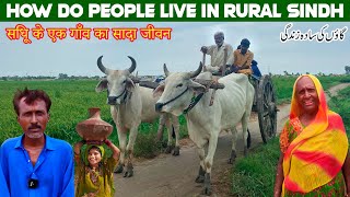 How Do People Live In Rural Sindh  Pure Village Life  District Badin Sindh [upl. by Suitangi]