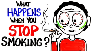 What Happens When You Stop Smoking [upl. by Orsino]