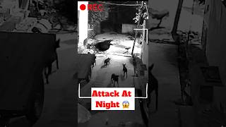 Attack At Night 😱  Rabies Infection ​minivlog [upl. by Zandra]