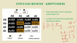 Genetika Extension dan Genetika Populasi [upl. by Osborn]