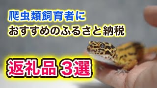 爬虫類飼育者におすすめのふるさと納税返礼品３選を紹介します [upl. by Recha]