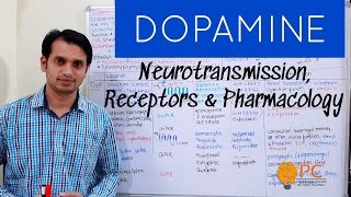 NEUROSCIENTIST Role of Dopamine in Goal Pursuit  Andrew Huberman hubermanlab [upl. by Seafowl]