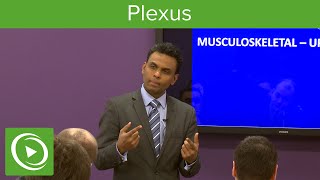 Plexus Structure amp Overview – MRCS  Lecturio [upl. by Corron797]