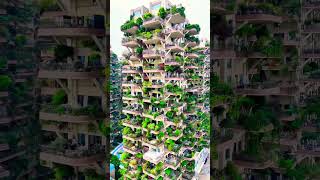 Chongqing Forest Apartment Building respectandenjoythepeace [upl. by Vincenty]